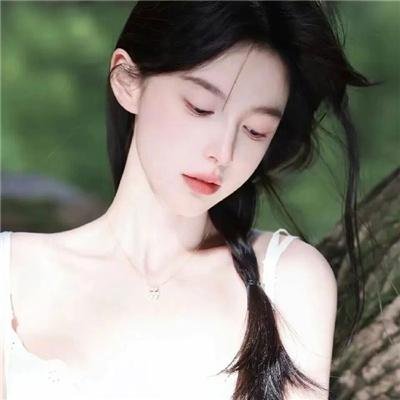 蜘蛛与郁金香